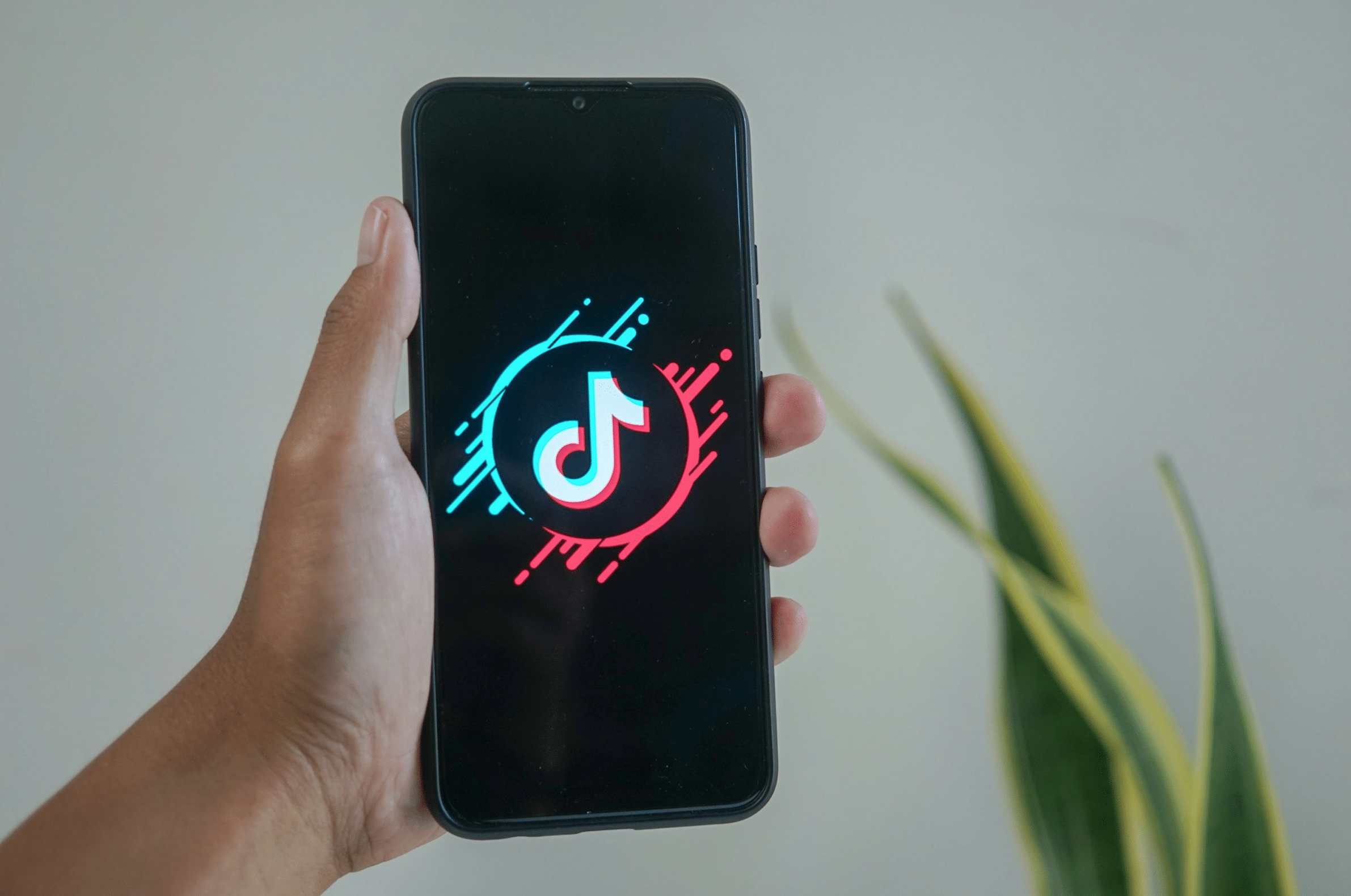 Searching TikTok by name